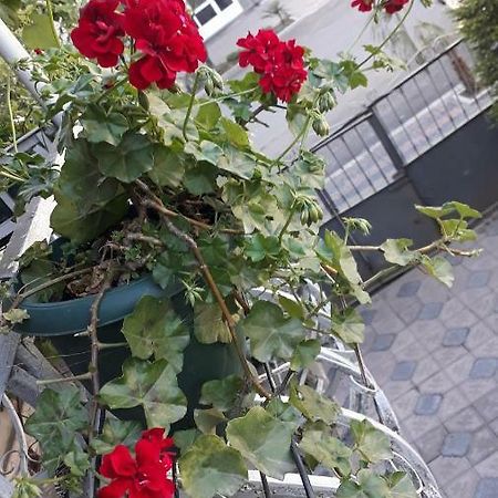 Homestay Izolda Батумі Екстер'єр фото