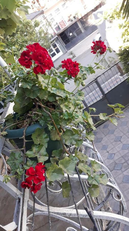 Homestay Izolda Батумі Екстер'єр фото